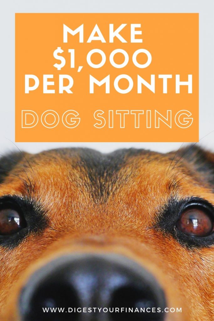 how to make money dog sitting pin